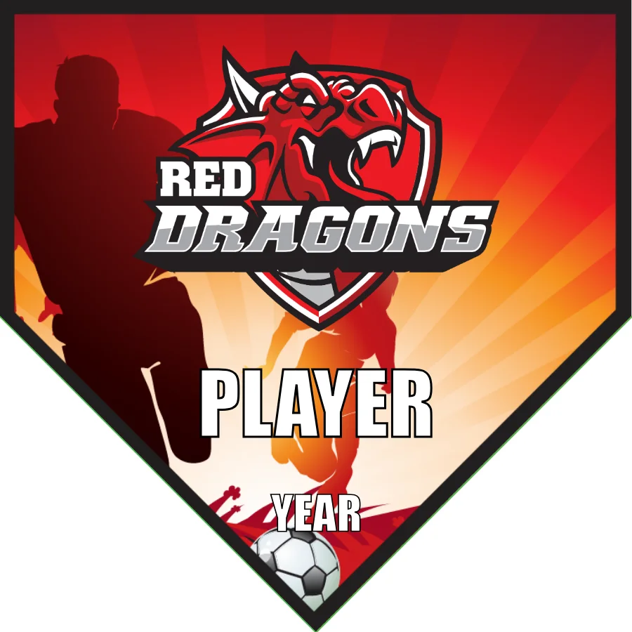 Dragons Soccer Banner-vinyl-soccer-team-banner-picture