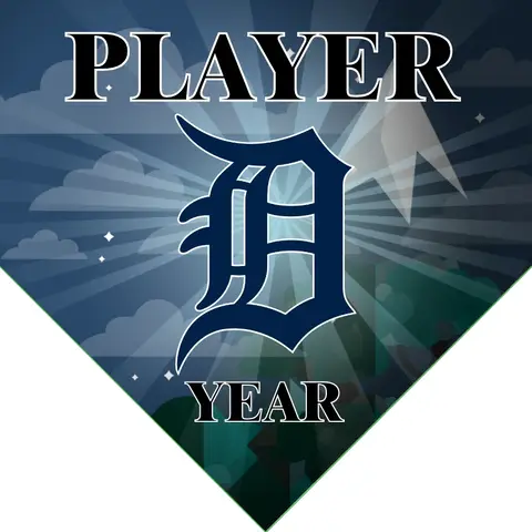 Detroit 2 Baseball Banner-baseball-banner-poses-images