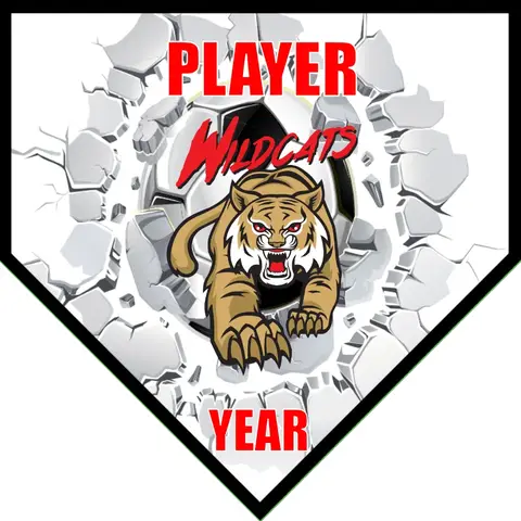 Wildcats 2 Soccer Banner-how-to-make-a-soccer-banner-at-home-picture
