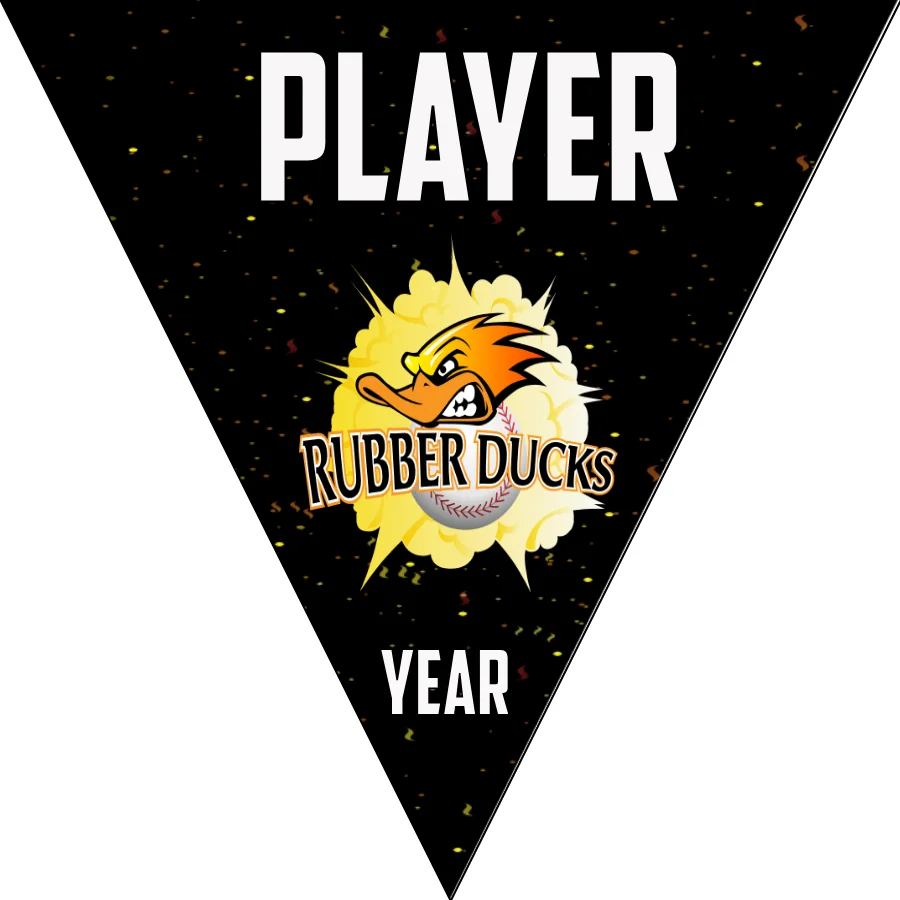 Rubber Ducks Softball Banner-softball-birthday-banner-picture