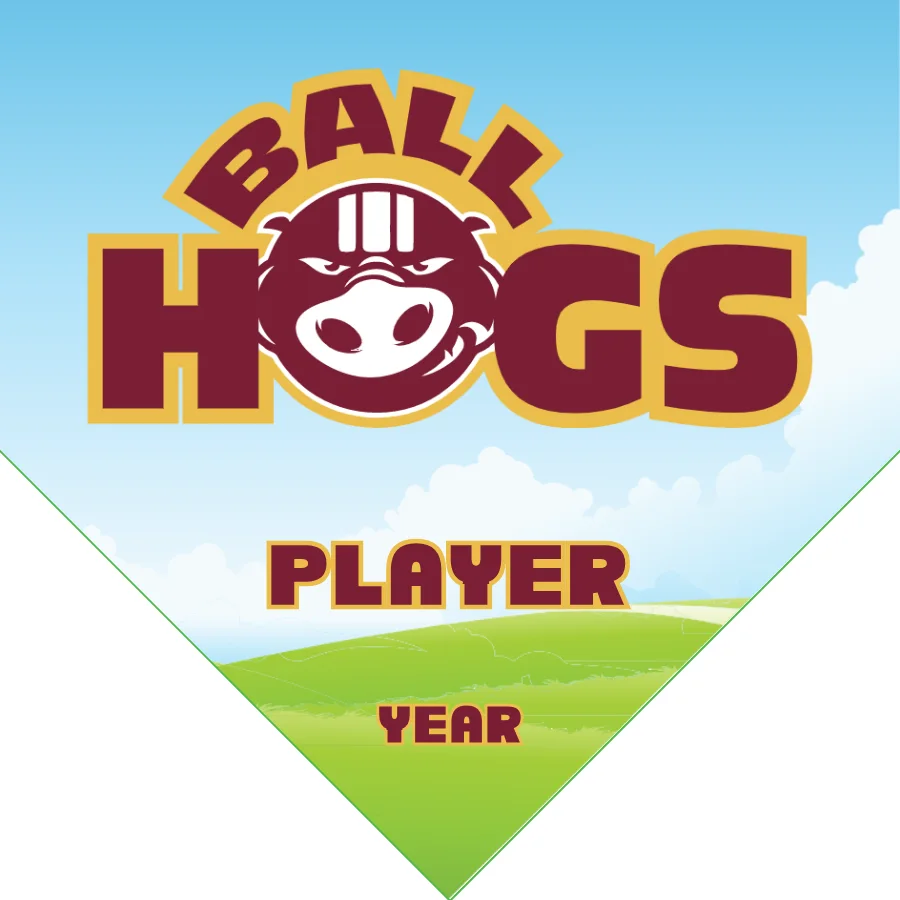 Ball Hogs Soccer Banner-soccer-banner-backgrounds-picture