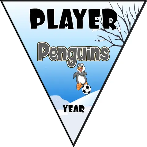 Penguins Soccer Banner-usa-soccer-facebook-banners-picture