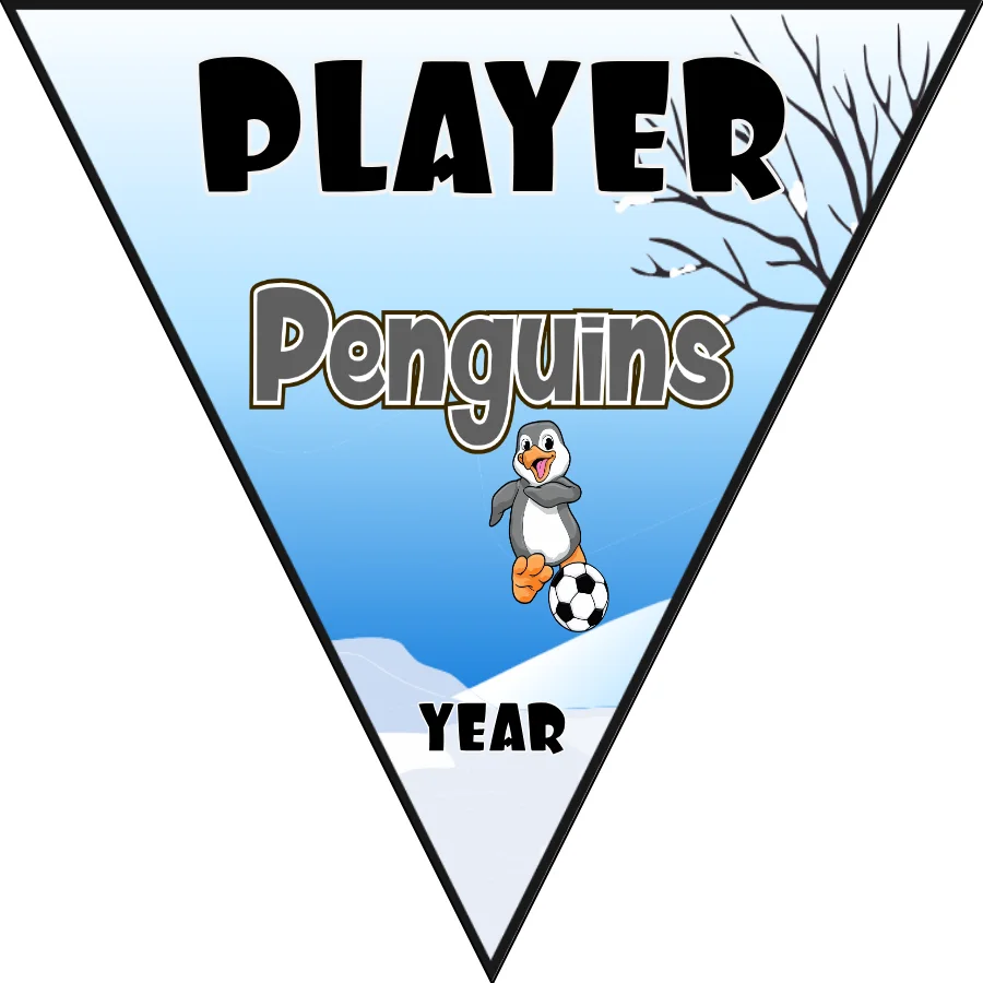 Penguins Soccer Banner-usa-soccer-facebook-banners-picture