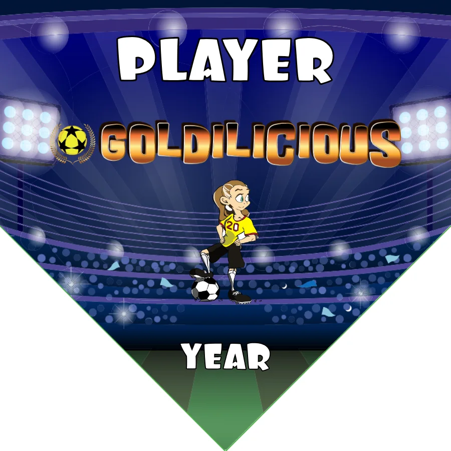 Goldilicious Soccer Banner-pvc-soccer-banner-frame-picture