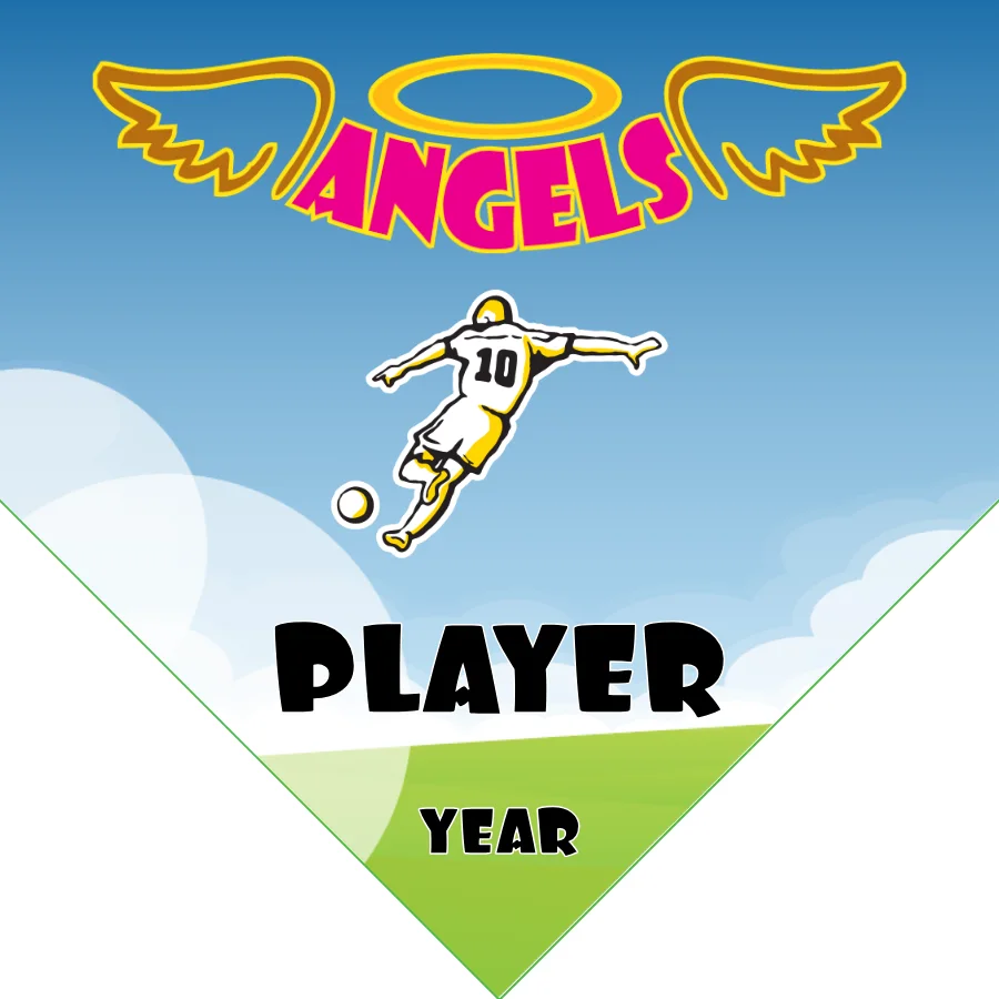 Angel Soccer Banner-soccer-birthday-banner-picture