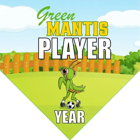 Green Mantis Soccer Banner-soccer-banner-stand-pvc-picture