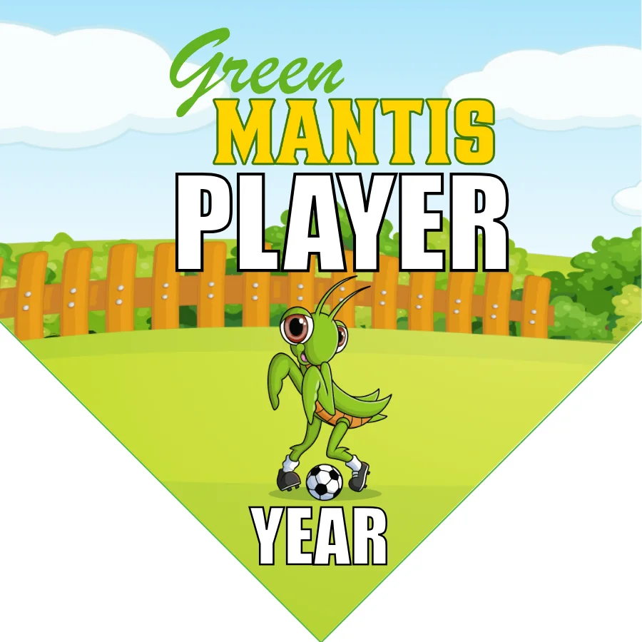 Green Mantis Soccer Banner-soccer-banner-stand-pvc-picture
