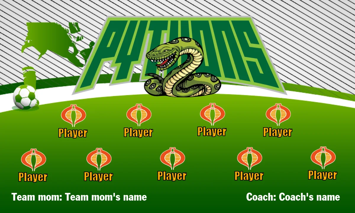 Pythyons Soccer Banner-soccer-banners-and-flags
