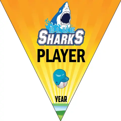 Blue Sharks Softball Banner-fastpitch-softball-banners-images