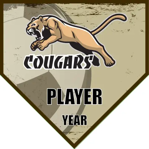 Cougar 2 Soccer Banner-heartbreakers-soccer-banner-picture