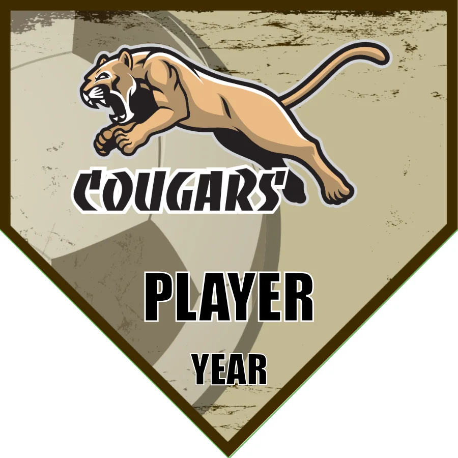 Cougar 2 Soccer Banner-heartbreakers-soccer-banner-picture
