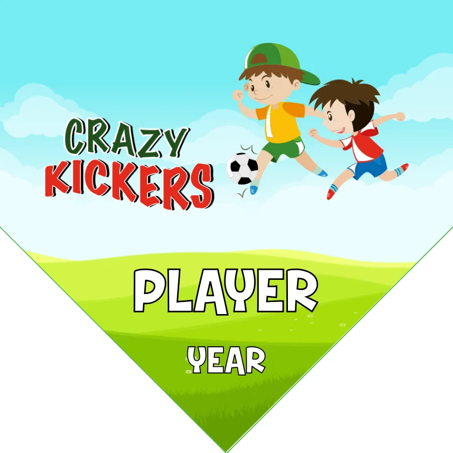 Crazy kickers Soccer Banner-soccer-banner-stand-ideas-picture