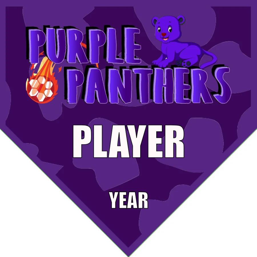Panthers Purple Soccer Banner-soccer-banner-stand-picture