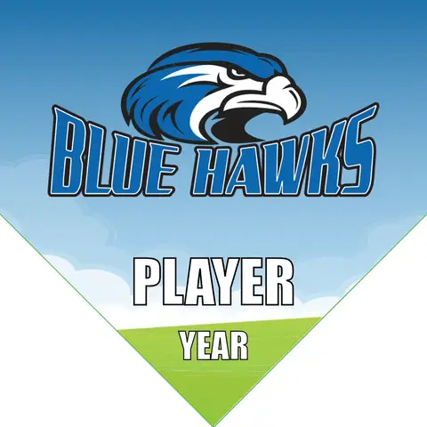 Blue Hawks Soccer Banner-soccer-banner-cheap-picture