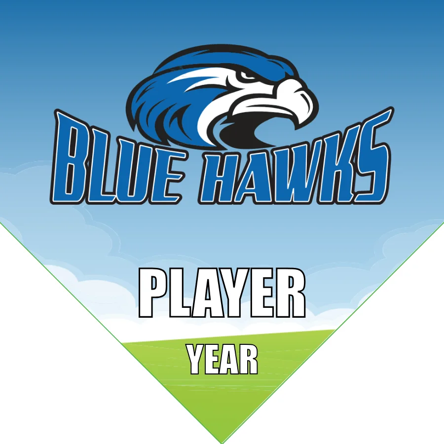 Blue Hawks Soccer Banner-soccer-banner-cheap-picture