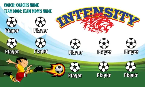 Intensity Soccer Banner-soccer-banner-stand-pvc
