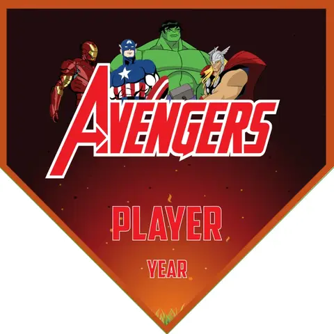 Avengers 5 Soccer Banner-soccer-banner-san-diego-picture