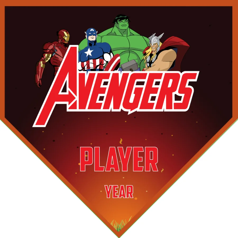 Avengers 5 Soccer Banner-soccer-banner-san-diego-picture