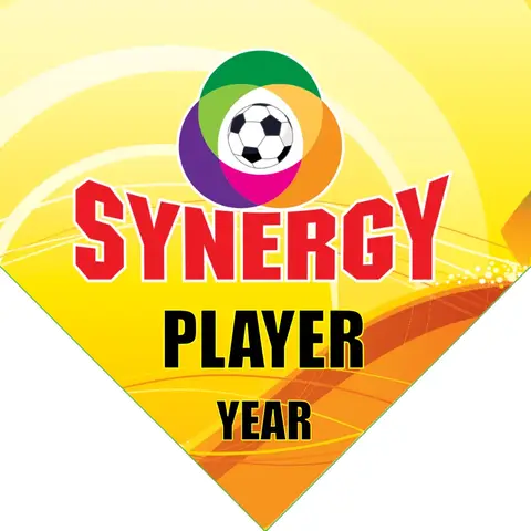 Synegry Soccer Banner-soccer-team-banner-picture