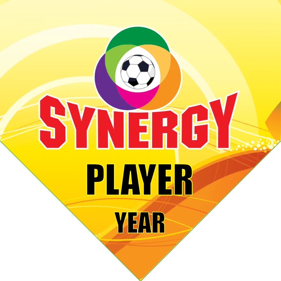 Synegry Soccer Banner-soccer-team-banner-picture