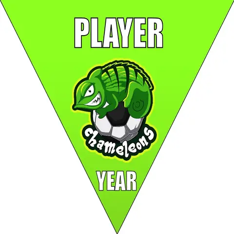 Chameleons  Soccer Banner-soccer-banner-images-picture