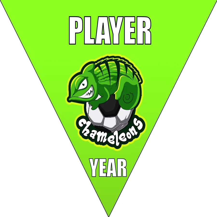 Chameleons Soccer Banner-soccer-banner-images-picture