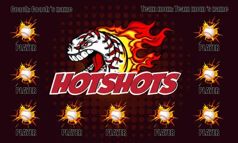 Hotshots Baseball Banner-baseball-team-banners-ideas-images