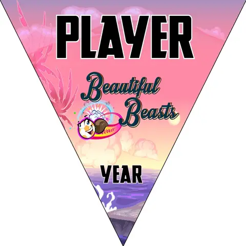 Beautiful Beasts Soccer Banner-soccer-flash-banner-picture