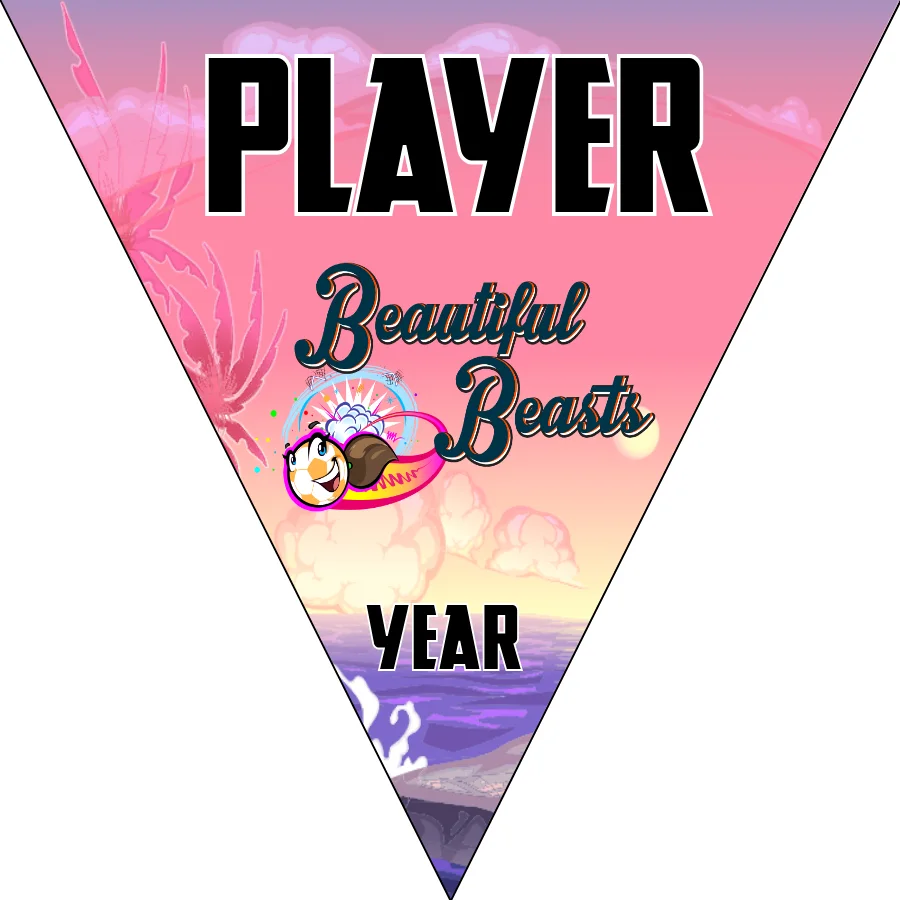 Beautiful Beasts Soccer Banner-soccer-flash-banner-picture