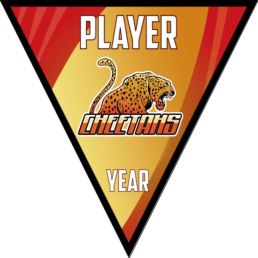 Cheetahs 2-brown-yellow-triangle-softball-banners-ideas-picture