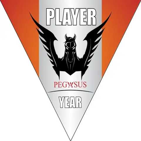 Pegasus Soccer Banner-soccer-banners-sacramento-picture