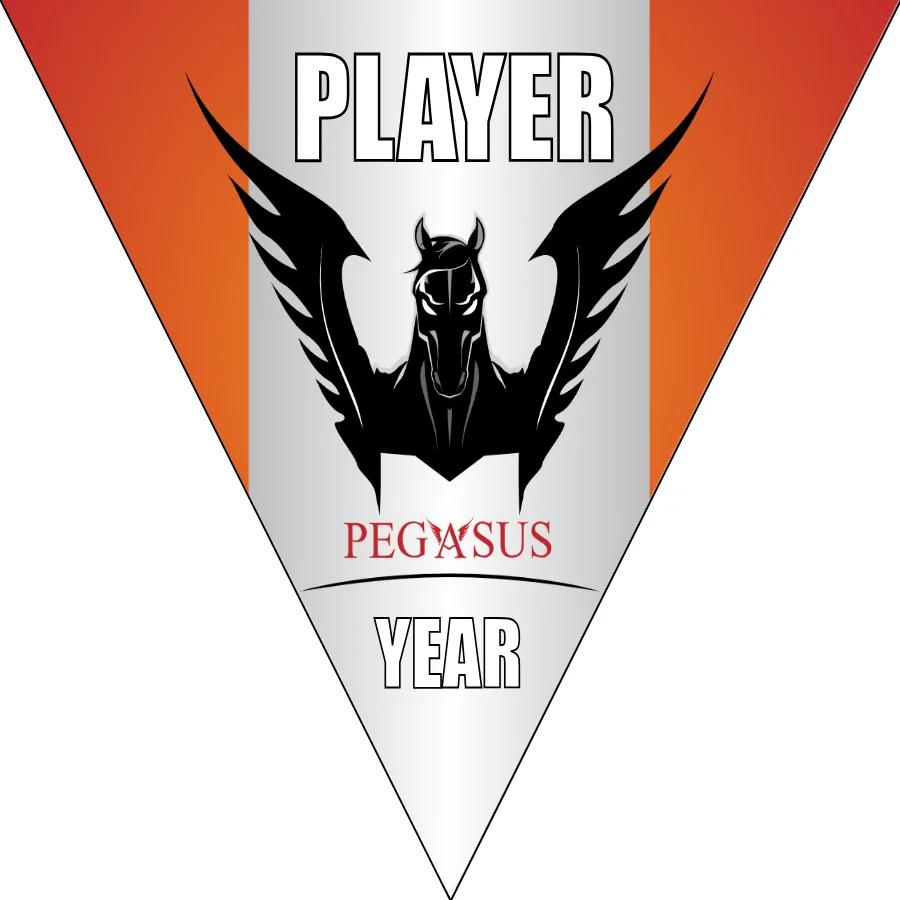 Pegasus Soccer Banner-soccer-banners-sacramento-picture