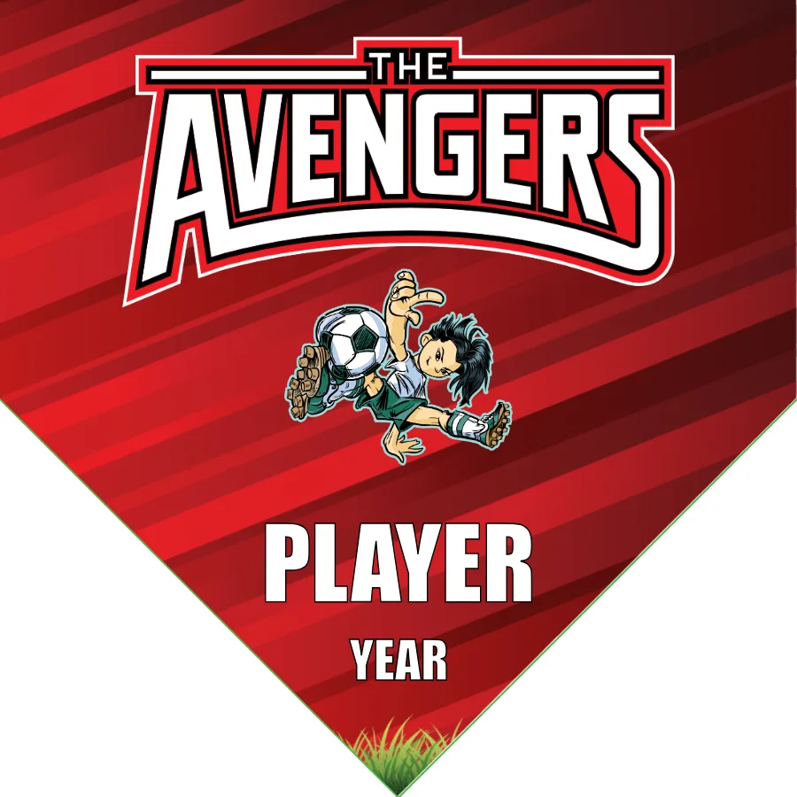 Avengers 1 Soccer Banner-soccer-banner-exchange-picture