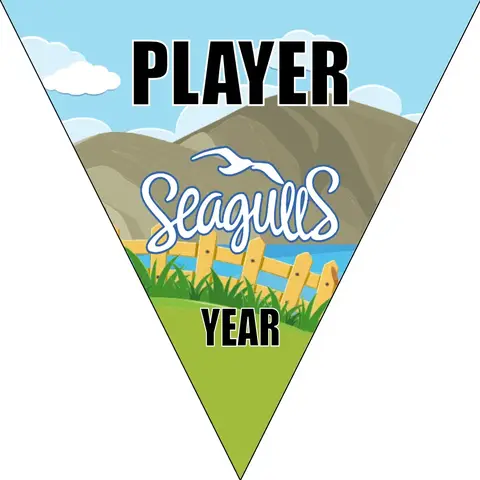 Seagulls Soccer Banner-soccer-banners-elk-grove-ca-picture