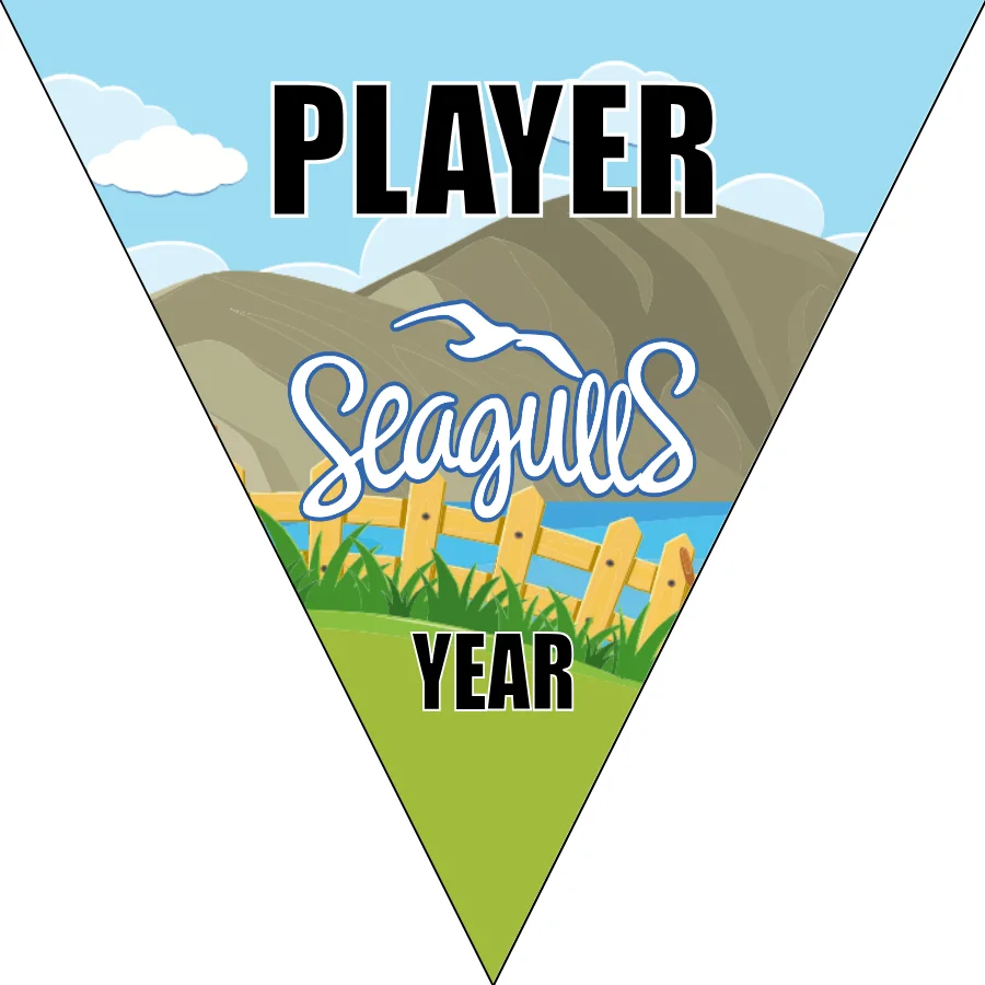 Seagulls Soccer Banner-soccer-banners-elk-grove-ca-picture