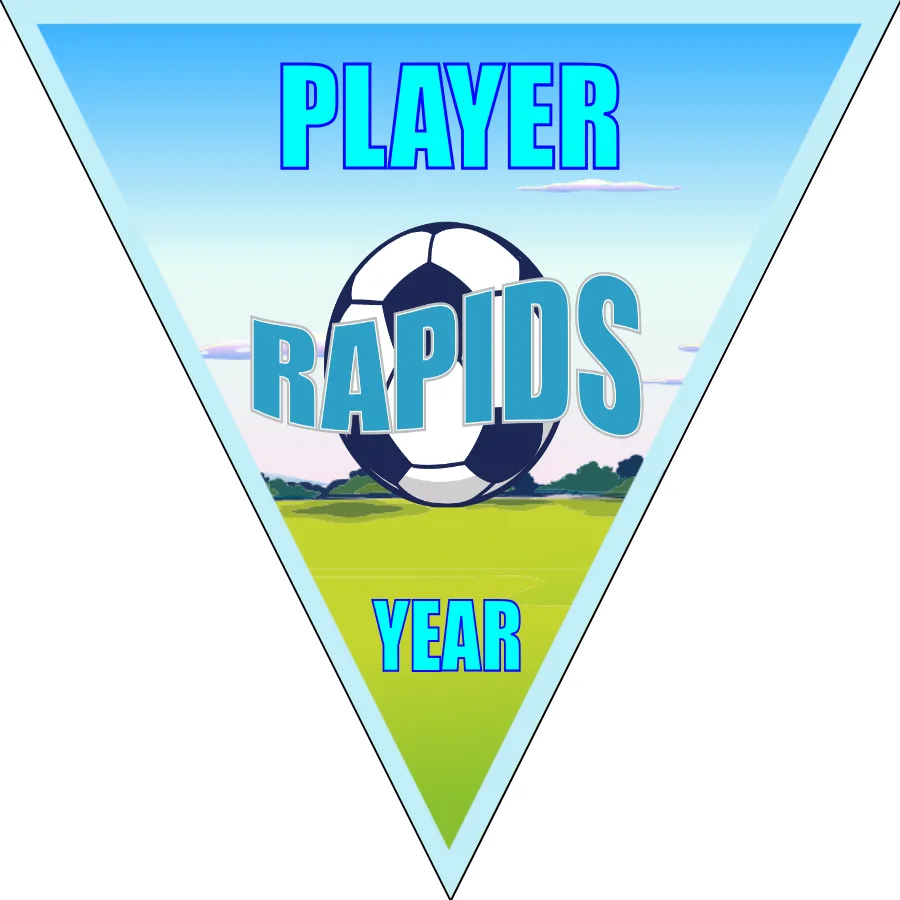 Rapids Soccer Banner-soccer-banner-stand-pvc-picture