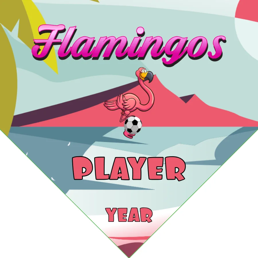 Flamingos Soccer Banner-soccer-banners-escondido-picture