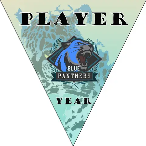 Blue Panthers Soccer Banner-individual-soccer-banner-picture