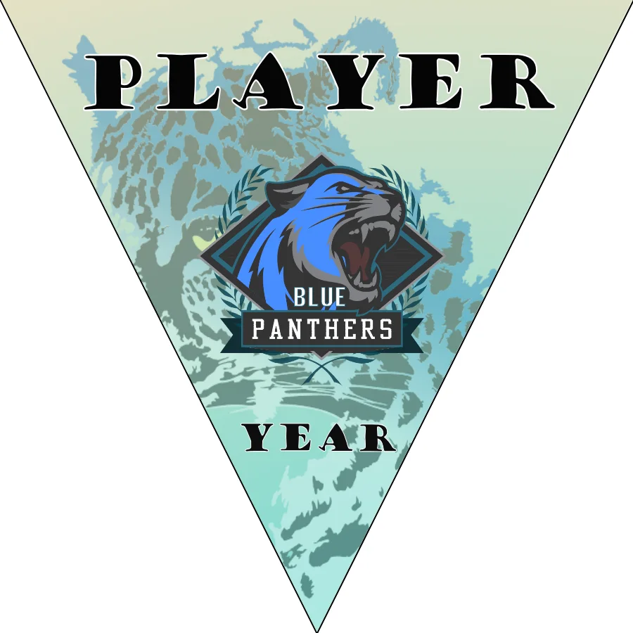 Blue Panthers Soccer Banner-individual-soccer-banner-picture