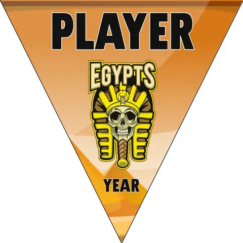 Egypts Softball Banner-vinyl-softball-banners-picture