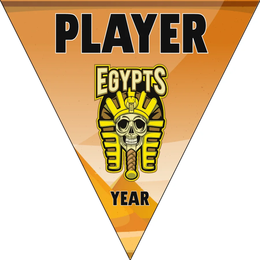 Egypts Softball Banner-vinyl-softball-banners-picture