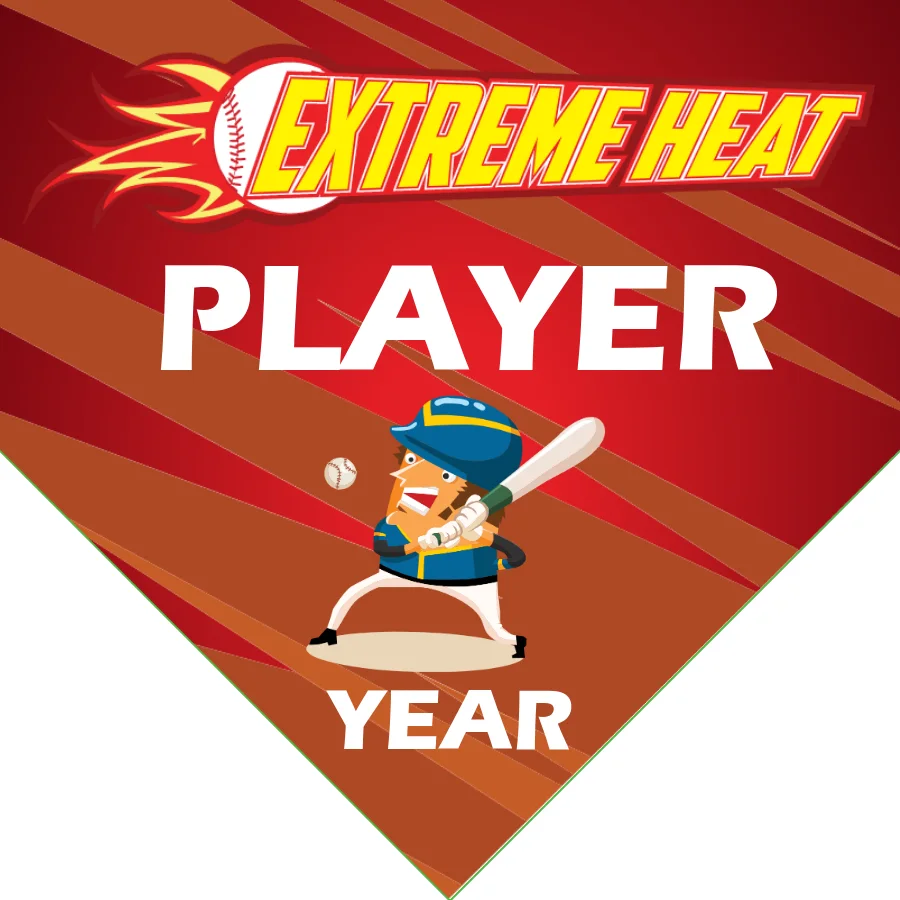 Extreme heat3 Softball Banner-softball-banner-poses-images
