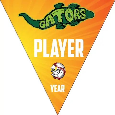 Gator 2 Softball Banner-banner-for-softball-team-images