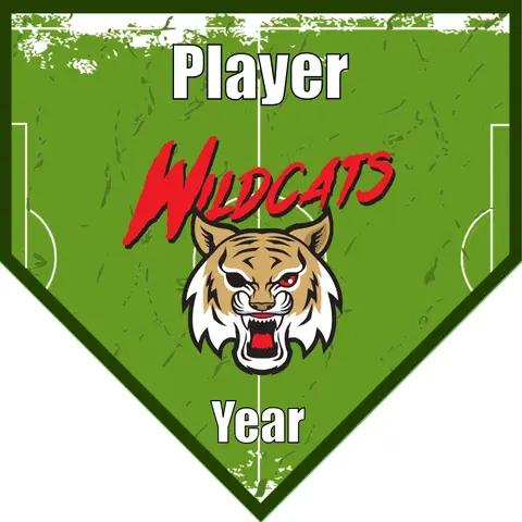 Wildcats 3 Soccer Banner-soccer-banner-size-picture
