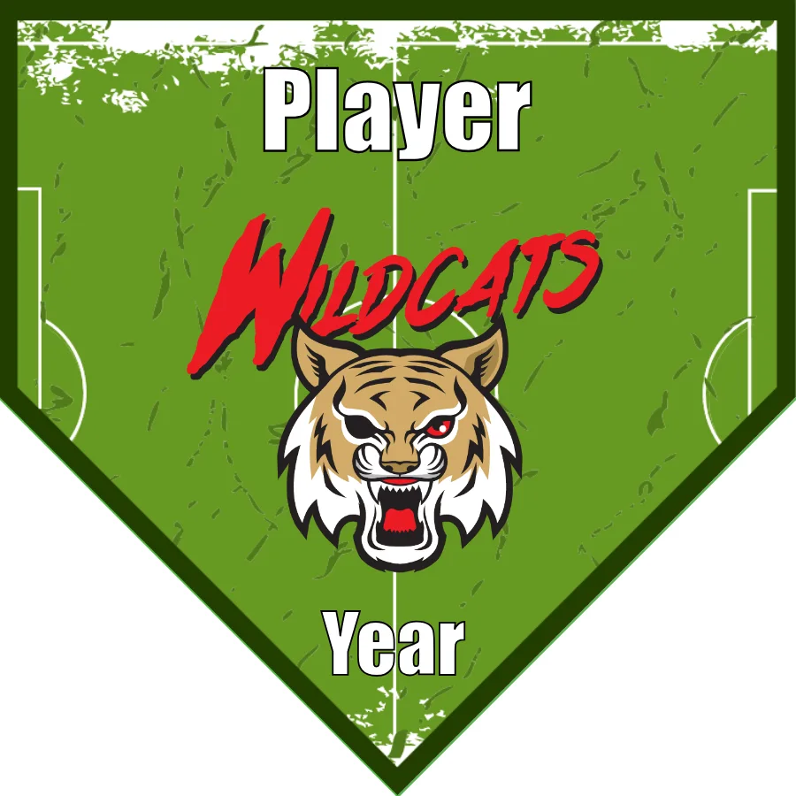 Wildcats 3 Soccer Banner-soccer-banner-size-picture