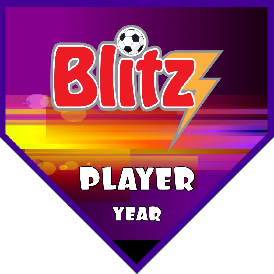 Blitz Soccer Banner-bakersfield-soccer-banner-picture