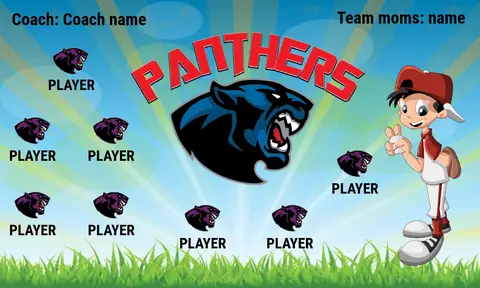 Panthers 1 Softball Banner-best-softball-banners-picture