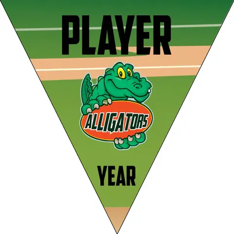 Alligators B Softball Banner-homemade-softball-banners-ideas-picture
