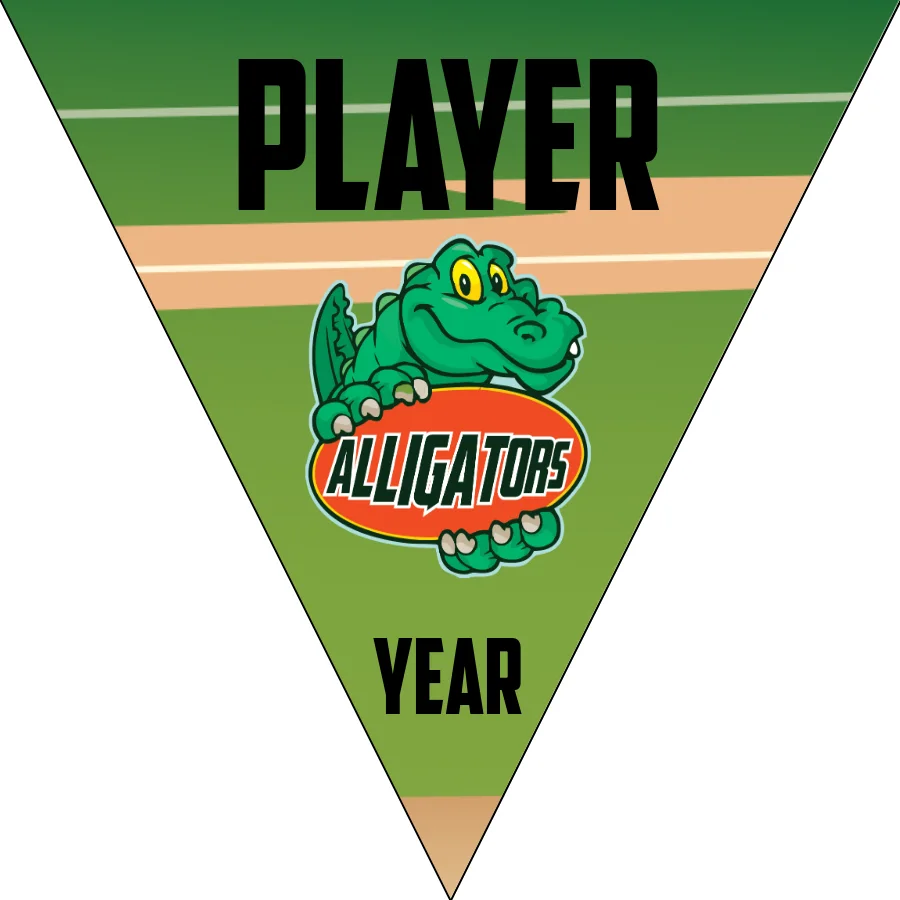 Alligators B Softball Banner-homemade-softball-banners-ideas-picture