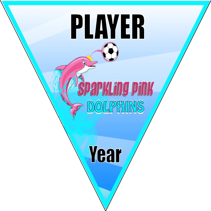 Dolphins Sparkling Pink Soccer Banner-soccer-team-banner-picture
